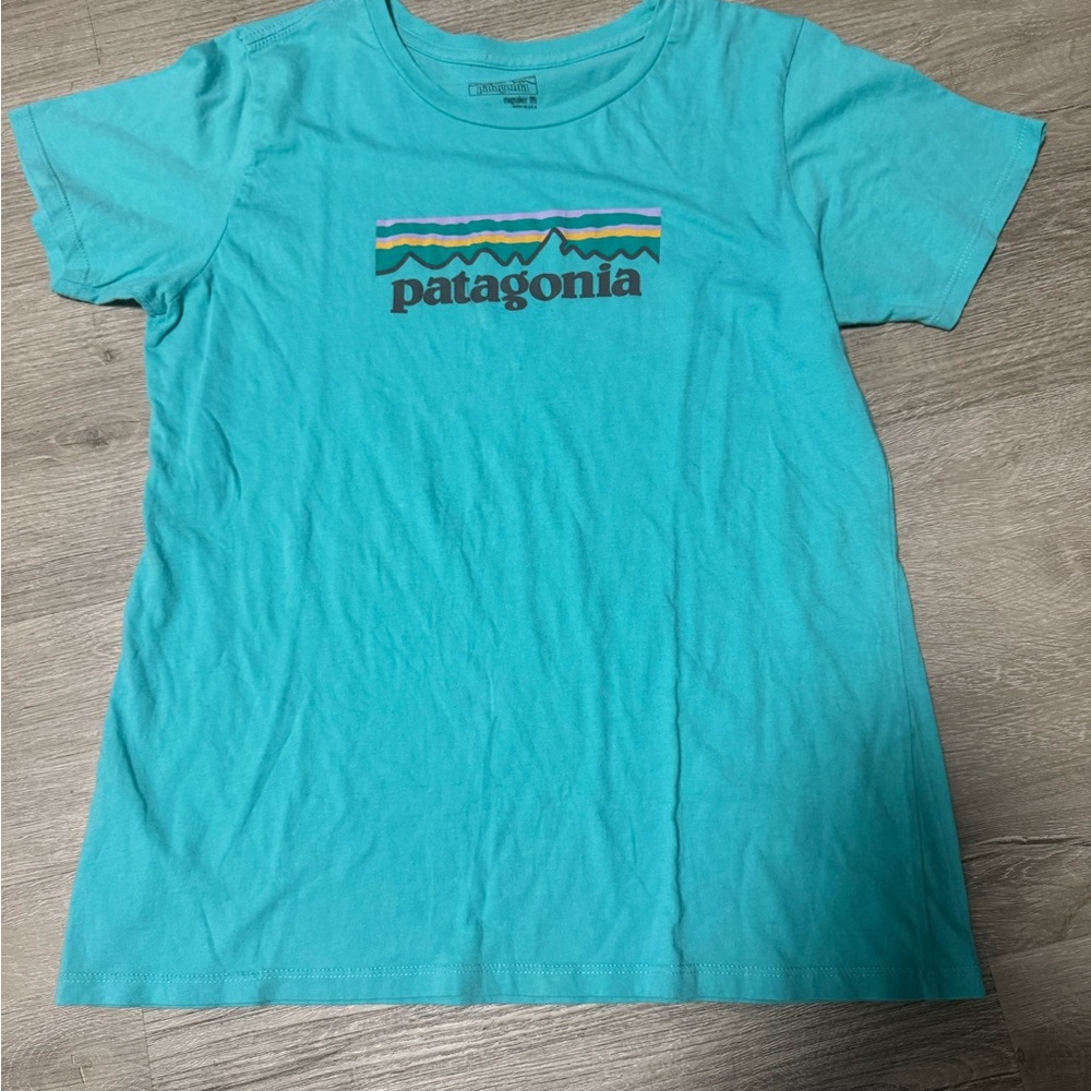 Patagonia Blue Short Sleeve Tee
